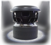zv.5 10 inch dvc 2 ohm