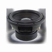 E10d4 / 25 cm subwoofer