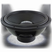 E15d4 / 38cm subwoofer