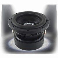 E8d4 / 20 cm subwoofer