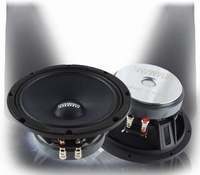SXMP 8  / 250 watt rms